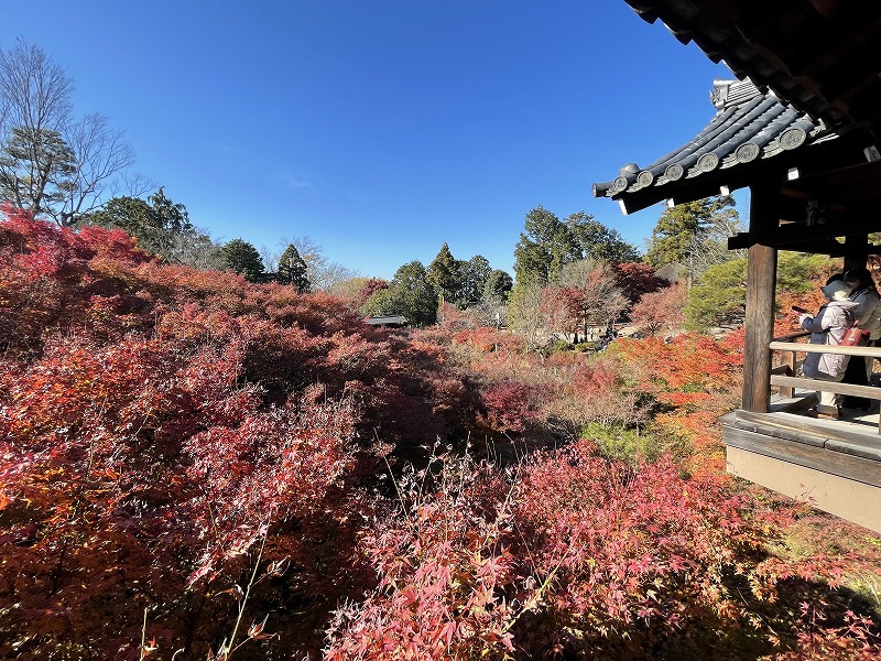 東福寺　通天橋