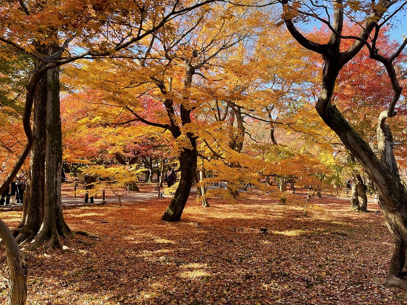 東福寺