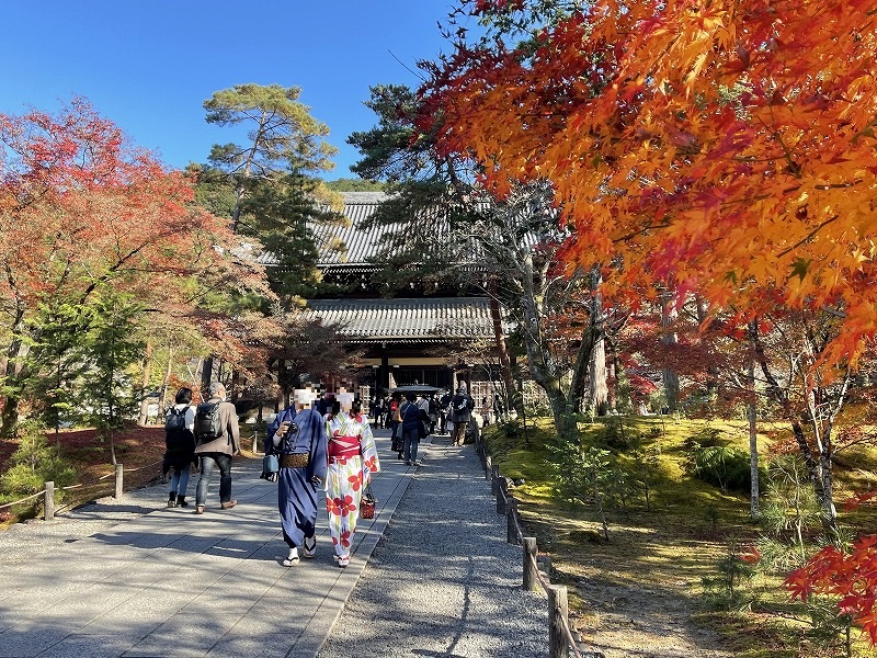 南禅寺　参道