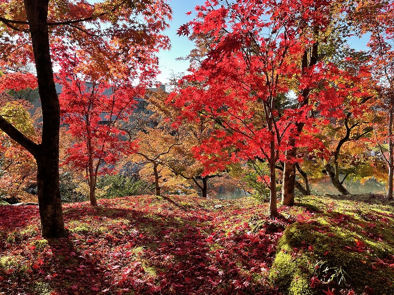 永観堂