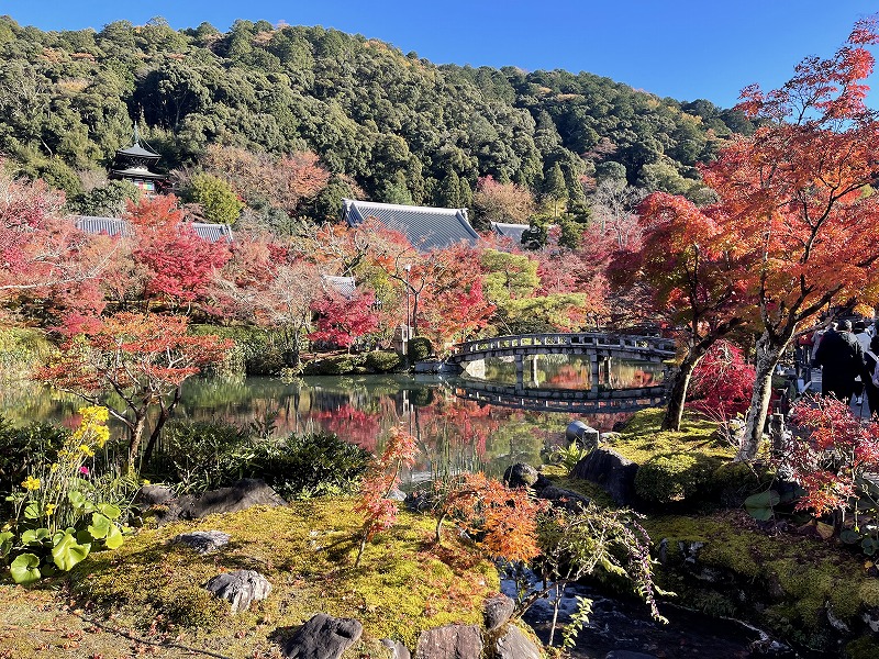 放生池　永観堂