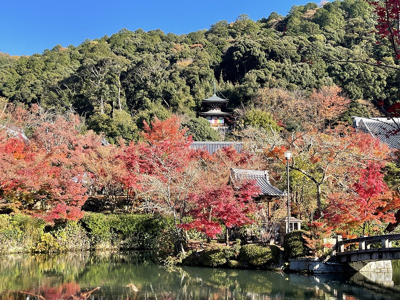 永観堂　多宝塔