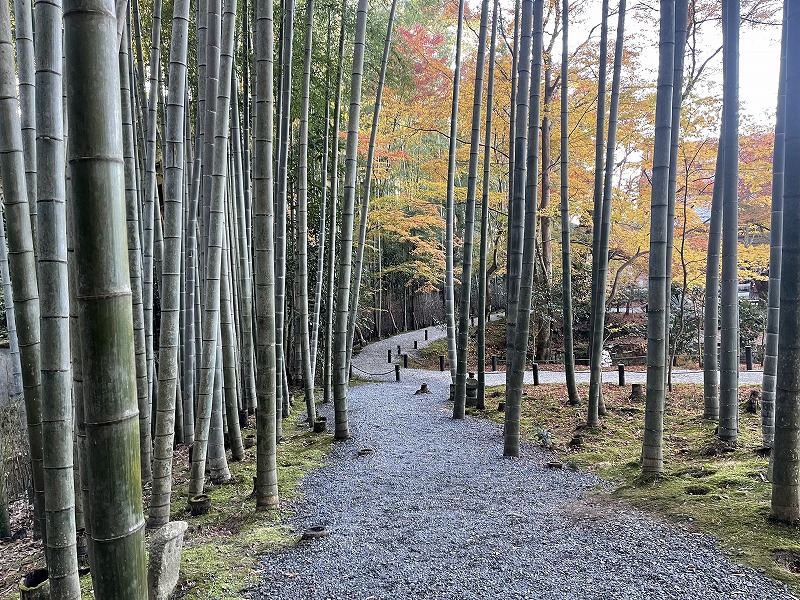 応挙の竹林