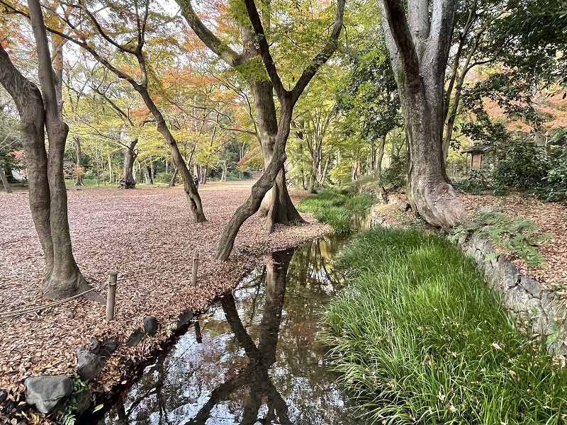 瀬見の小川