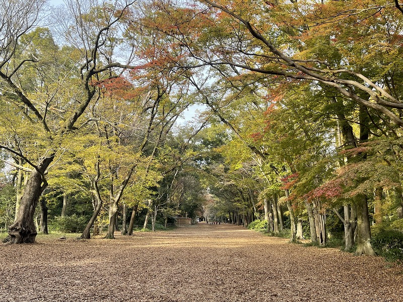 下鴨神社　馬場