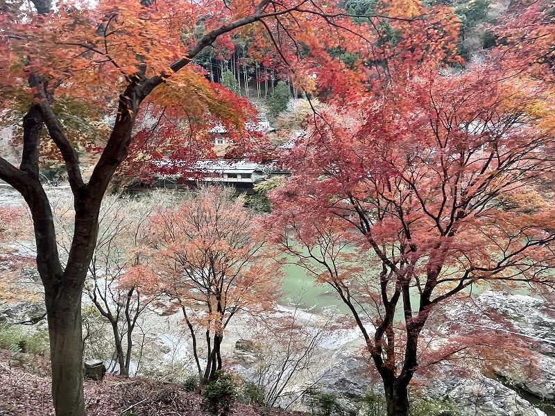 嵯峨野トロッコ列車