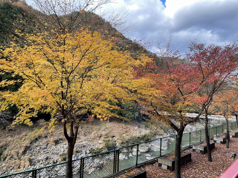 保津峡駅