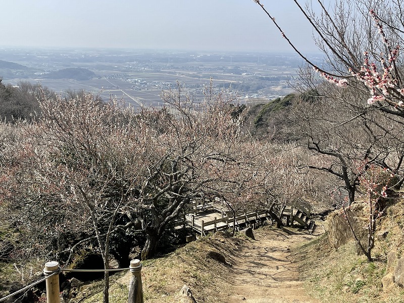 筑波山梅園