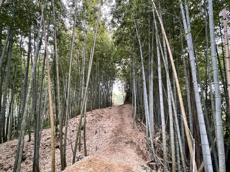 金毘羅神社