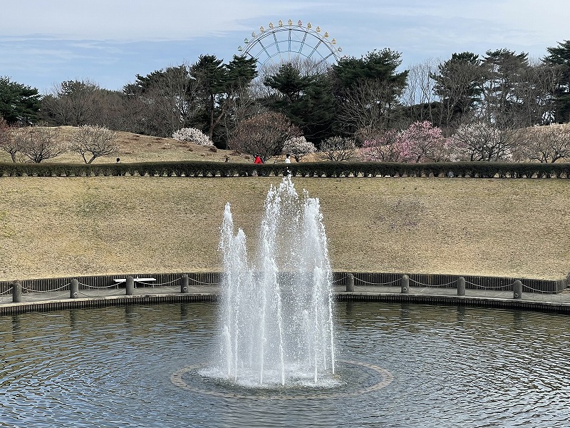 国営ひたちなか海浜公園