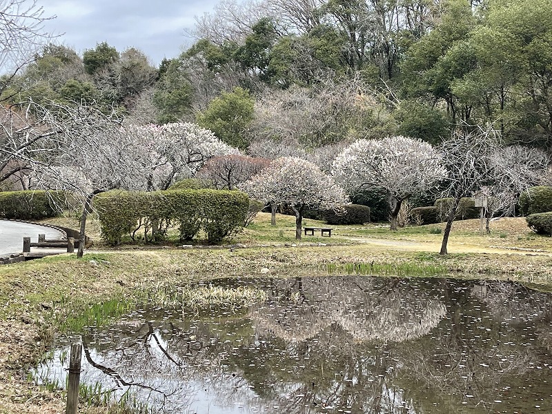 西山の里 桃園