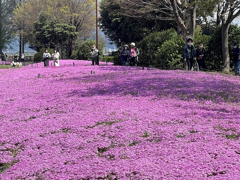 大津湖岸なきさ公園