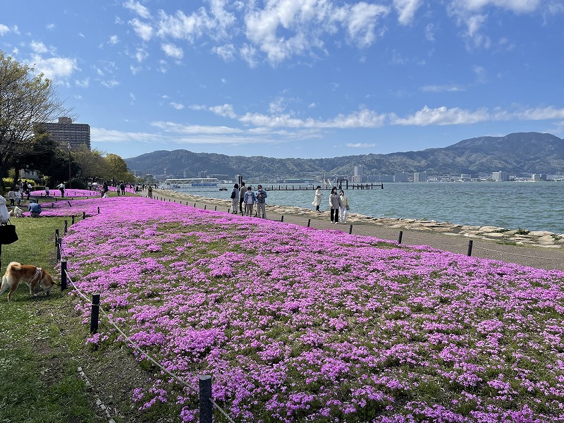 大津湖岸なきさ公園