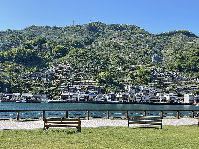 道の駅八幡浜みなっと