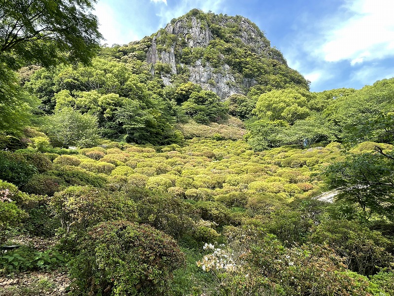 御船山楽園