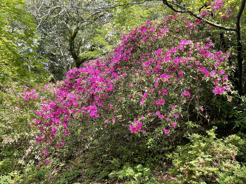 御船山楽園