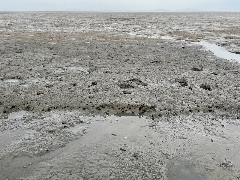 七浦海岸