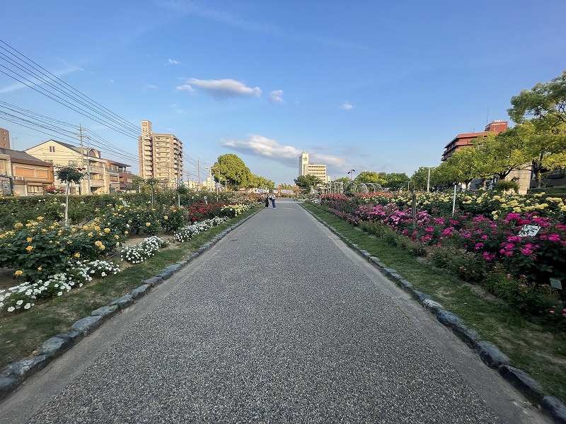 ばら公園