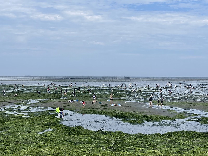 富津海岸潮干狩り場