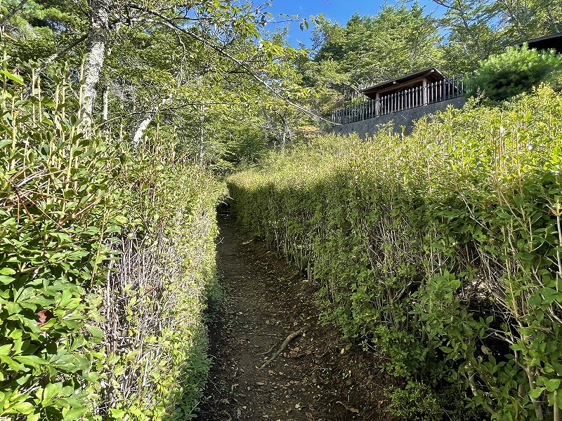 新倉山浅間公園　登山道