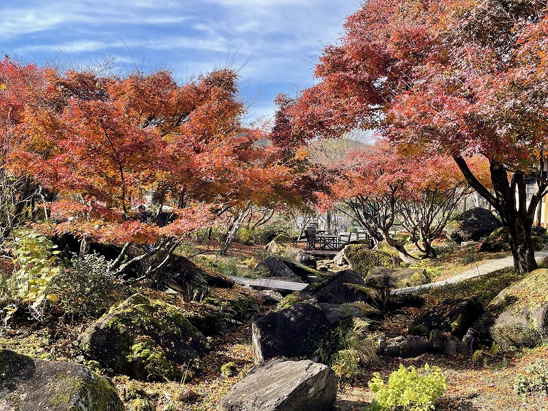 恵那 銀の森