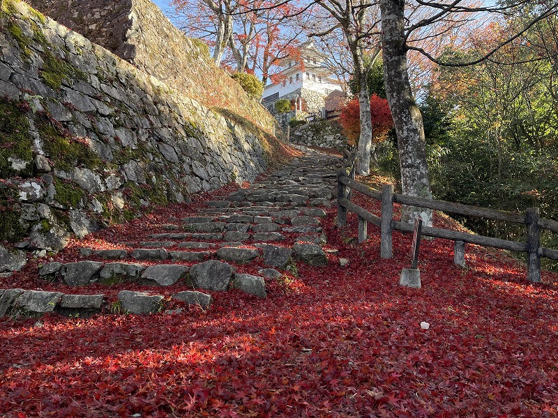 郡上八幡城