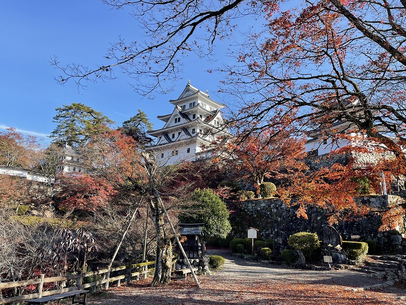 郡上八幡城