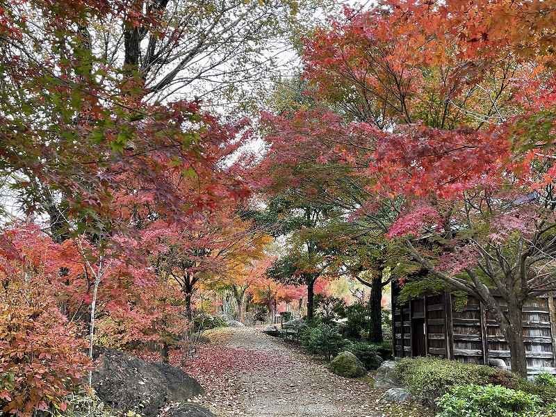 ぎふ清流里山公園