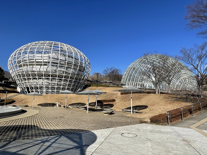 山梨県笛吹川フルーツ公園