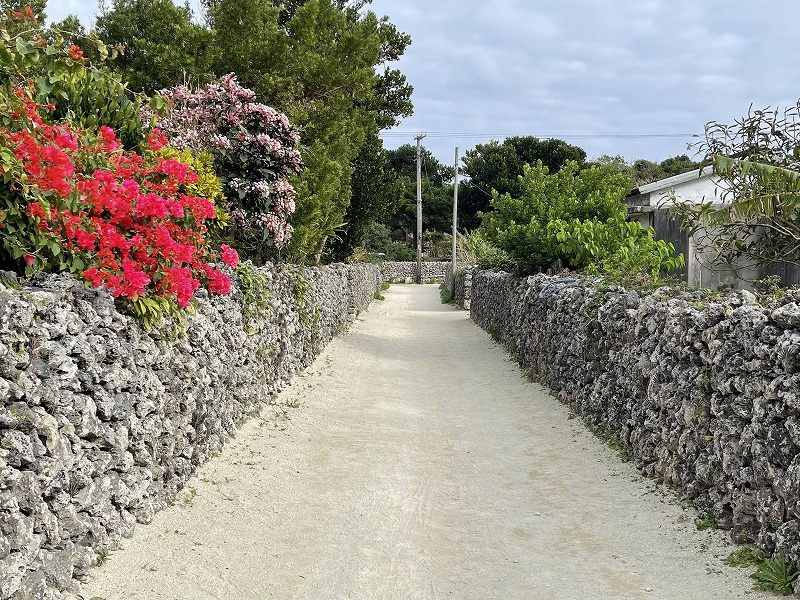 ブーゲンビレア　竹富島