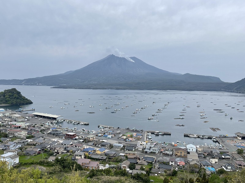 にこ展望所