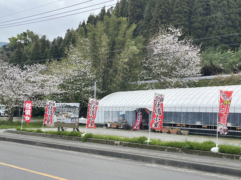 漁師の海鮮かき小屋