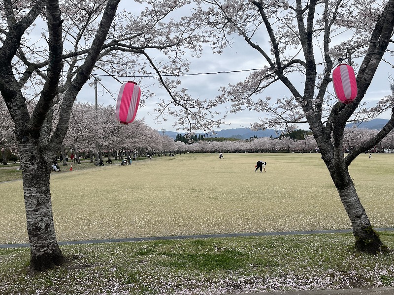 忠元公園