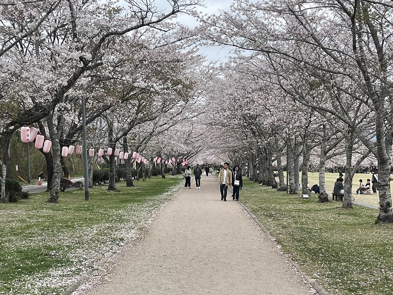 忠元公園