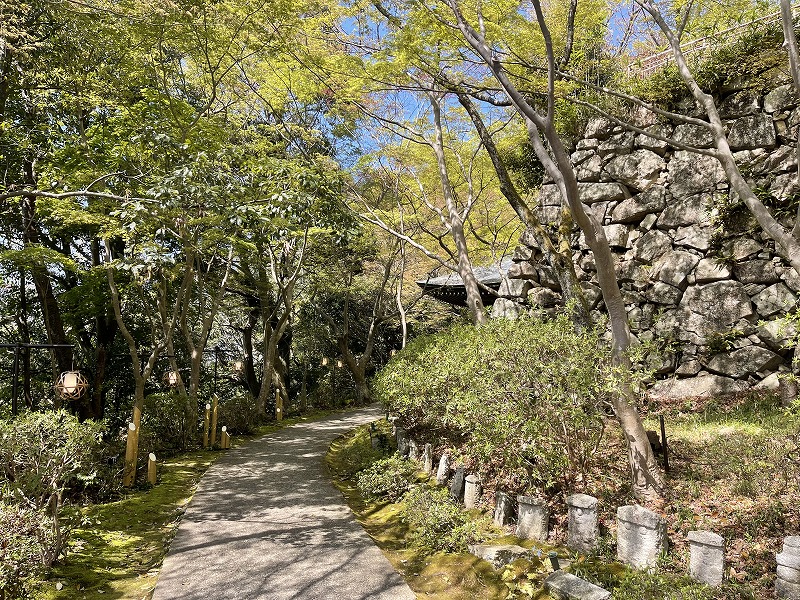 八幡山城址