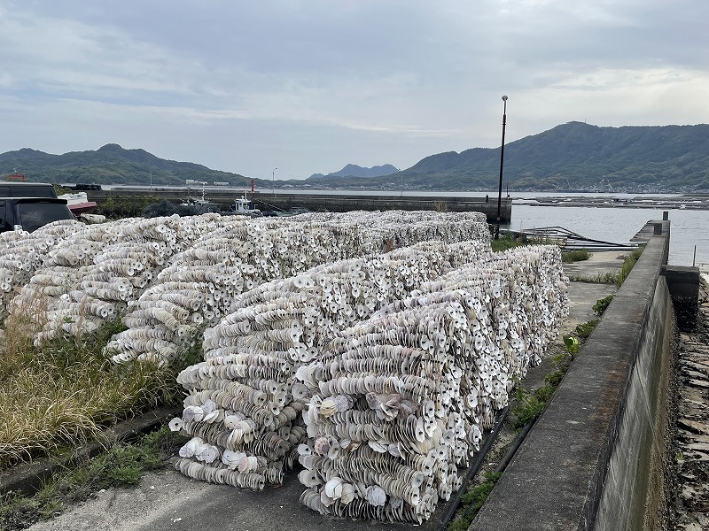 江田島湾