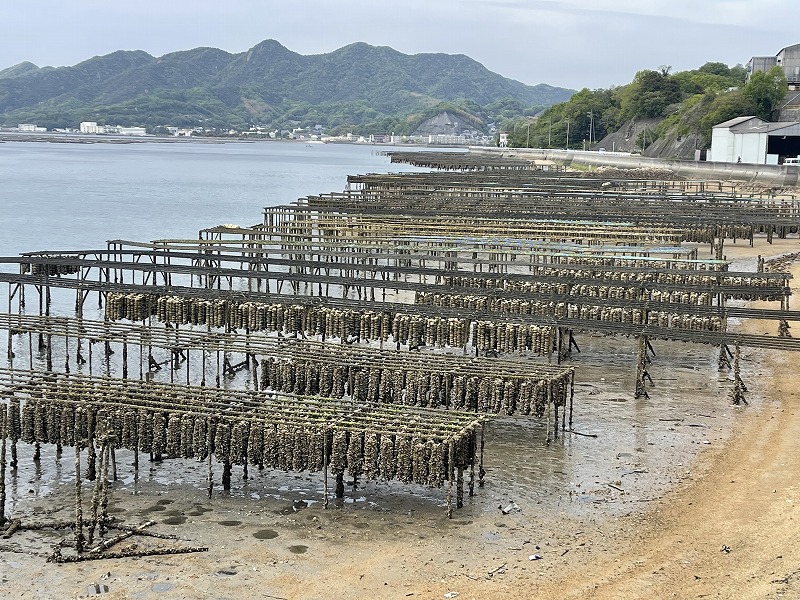 江田島湾