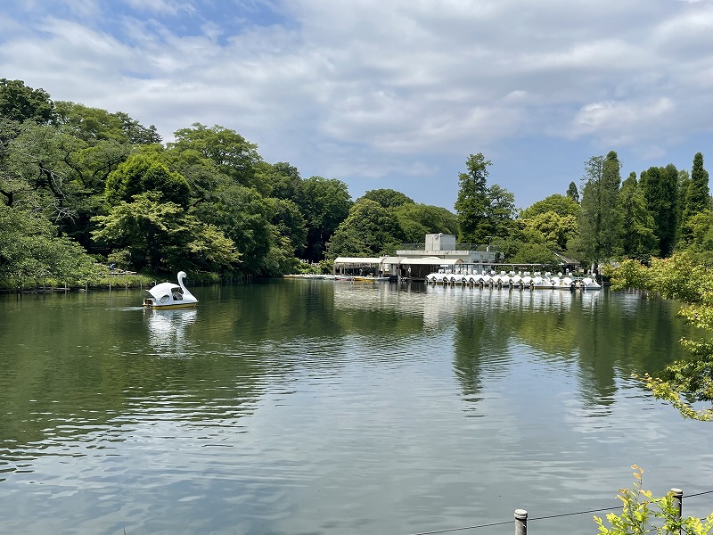 井の頭恩賜公園　ボート池