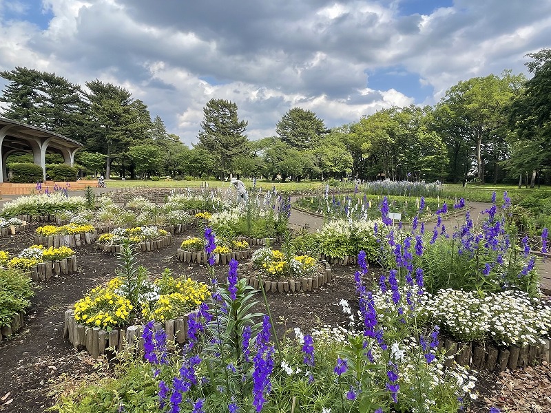 小金井公園