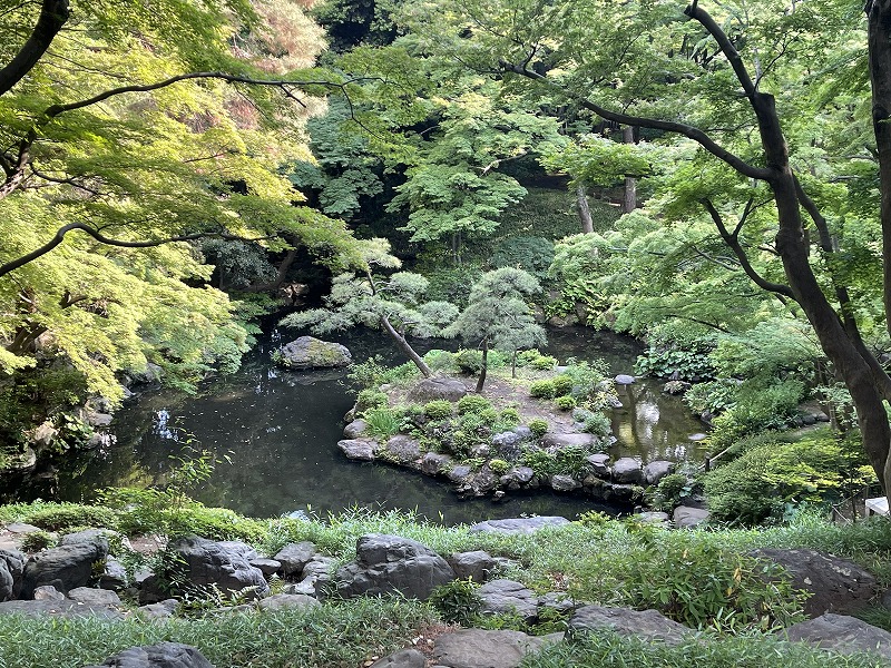 殿ヶ谷戸庭園　次郎弁天池