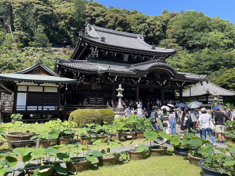 三室戸寺本堂