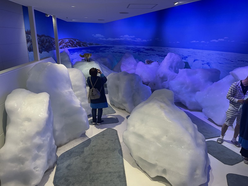 オホーツク流氷館