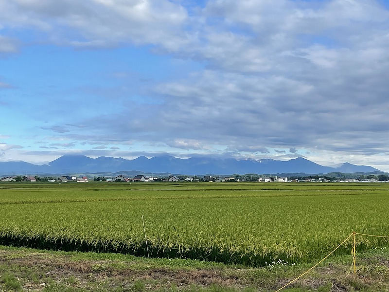 大雪山