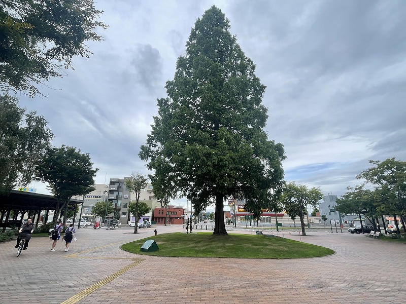 岩見沢駅