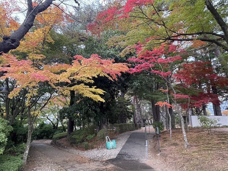 みゆき公園