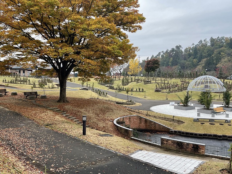 東沢バラ公園