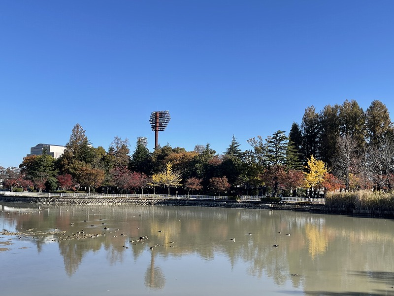 開成山公園