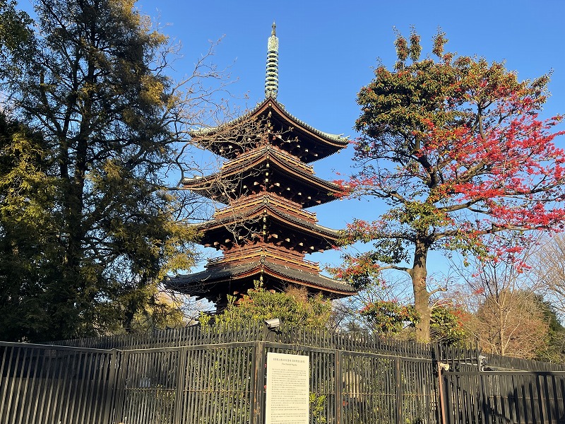 旧寛永寺五重塔