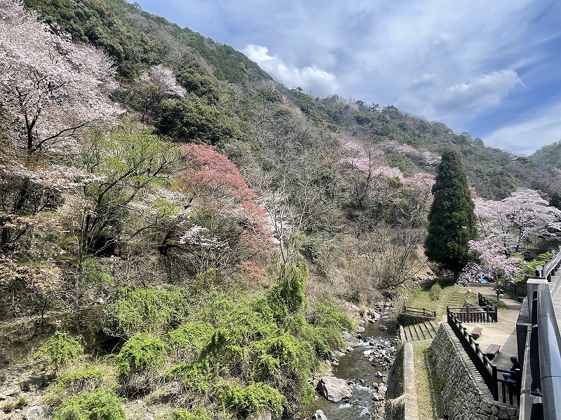 左馬ふれあい公園