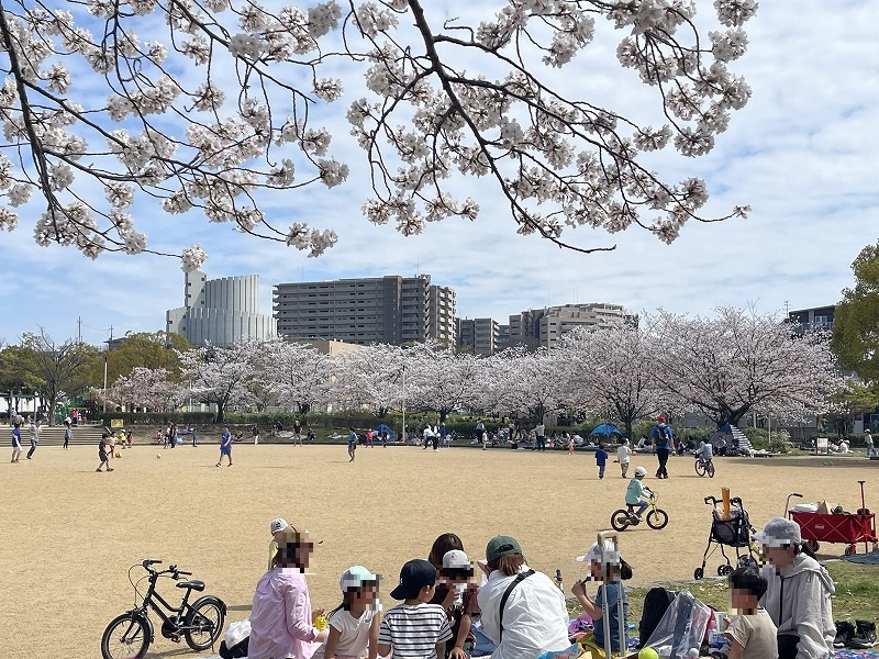 きんめい近隣公園